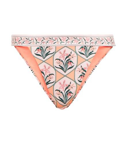 Lluvia printed bikini bottoms - Agua by Agua Bendita - Modalova