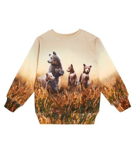 Mattis printed cotton sweatshirt - Molo - Modalova