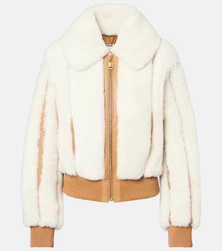 Story shearling bomber jacket - Zimmermann - Modalova