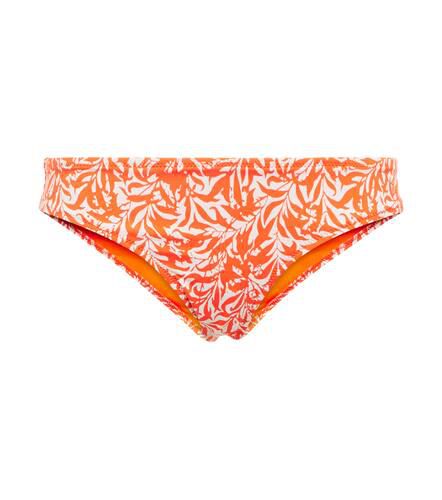 Slip bikini Fiji con stampa - Heidi Klein - Modalova