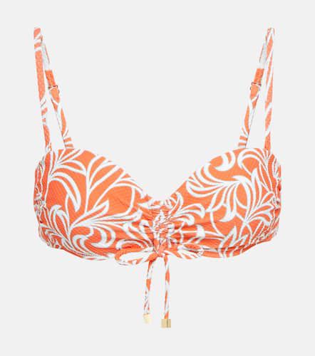 Coral Gardens bandeau bikini top - Heidi Klein - Modalova