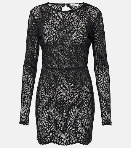 Genevieve lace minidress - Alexandra Miro - Modalova