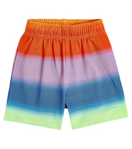 Adian striped cotton Bermuda shorts - Molo - Modalova