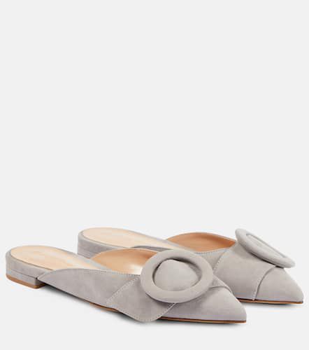 Gianvito Rossi Suede ballet flats - Gianvito Rossi - Modalova