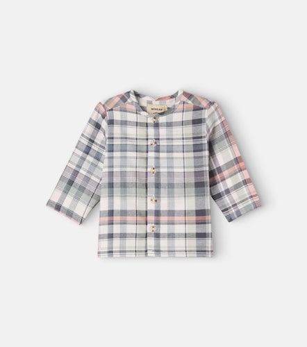 Bebé - camisa Shelby de algodón a cuadros - Wheat - Modalova