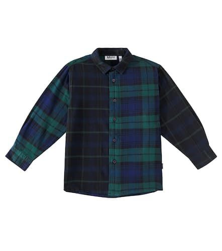 Molo Remon plaid cotton shirt - Molo - Modalova