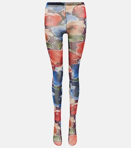 Medias de tul estampadas - Dolce&Gabbana - Modalova
