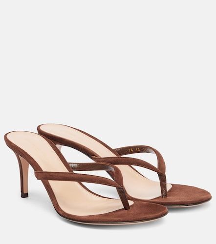 Gianvito Rossi Suede thong sandals - Gianvito Rossi - Modalova
