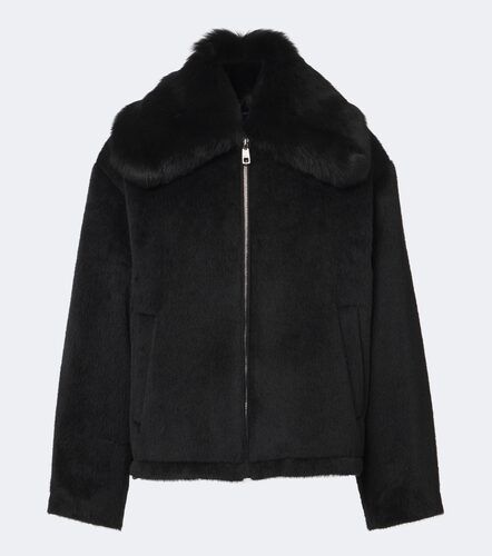 Shearling-trimmed alpaca and wool jacket - Dolce&Gabbana - Modalova