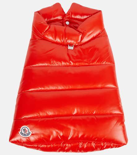 Poldo Dog Couture dog coat - Moncler - Modalova