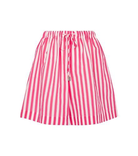 Fiamma striped cotton-blend shorts - Max Mara - Modalova