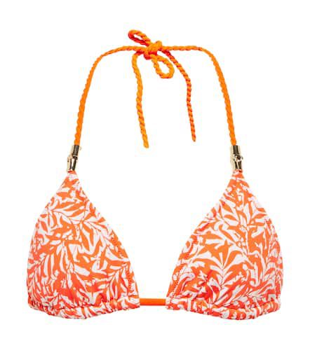 Ibiza printed bikini top - Heidi Klein - Modalova