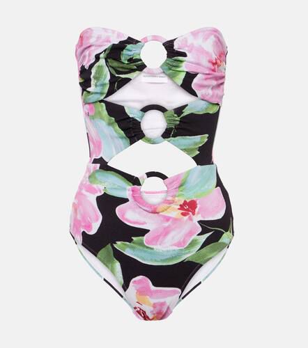 Anya cutout floral swimsuit - Alexandra Miro - Modalova