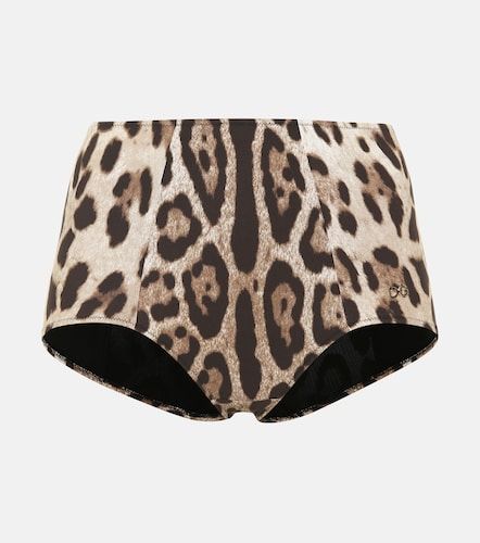Bedrucktes Bikini-Höschen - Dolce&Gabbana - Modalova