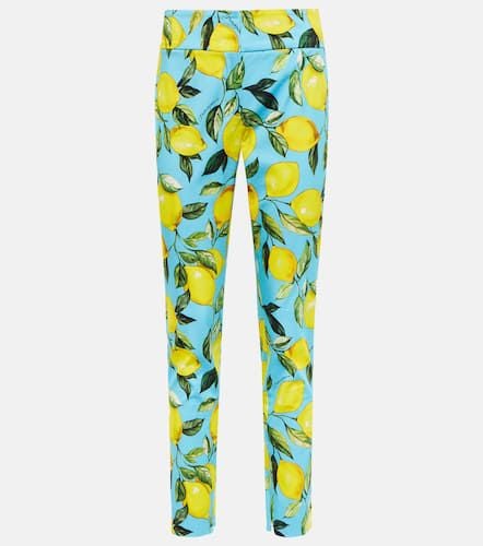 Printed cotton-blend high-rise pants - Dolce&Gabbana - Modalova