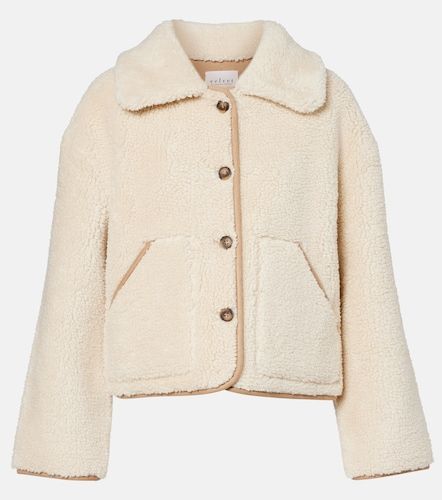 Velvet Amara jacket - Velvet - Modalova