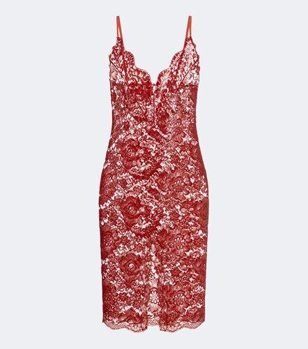Vestido lencero en mezcla de algodón con encaje - Saint Laurent - Modalova