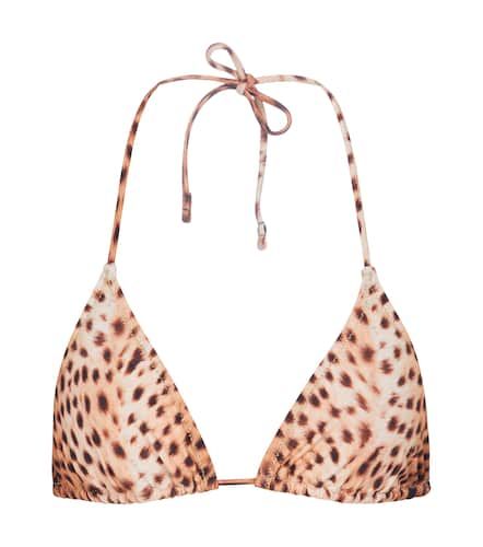 Susan cheetah-print bikini top - Reina Olga - Modalova