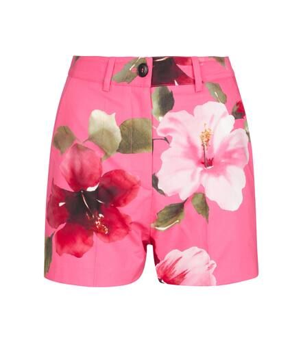 Floral cotton shorts - Valentino - Modalova