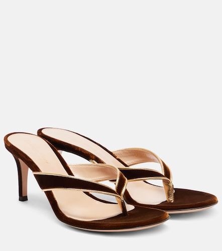 Sandalen Calypso 70 aus Samt - Gianvito Rossi - Modalova