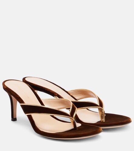 Sandali Calypso 70 in velluto con pelle - Gianvito Rossi - Modalova