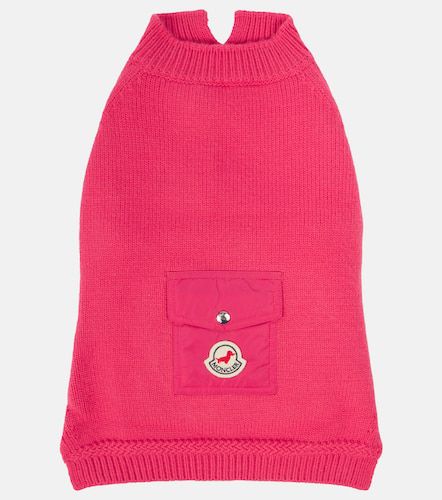 Poldo Dog Couture dog coat - Moncler - Modalova