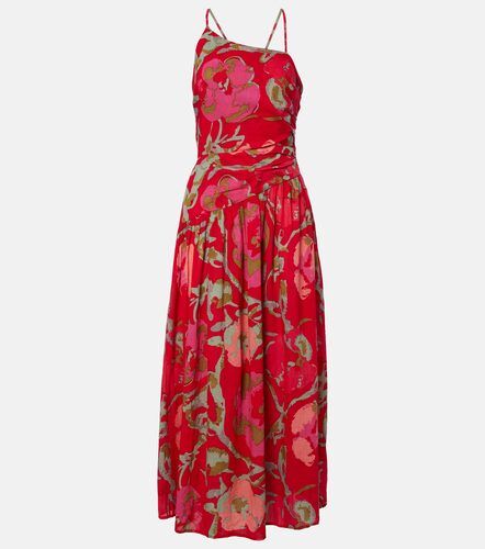 Velvet Abito midi Cosima in cotone - Velvet - Modalova