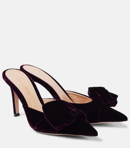 Bow-detail velvet mules - Gianvito Rossi - Modalova