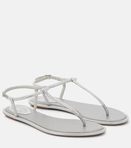 Amalia embellished thong sandals - Rene Caovilla - Modalova