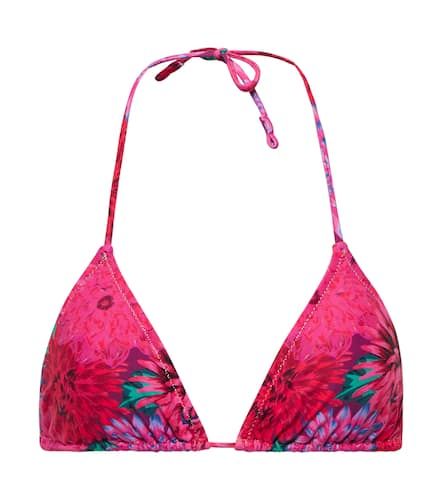 Reina Olga Miami printed bikini top - Reina Olga - Modalova