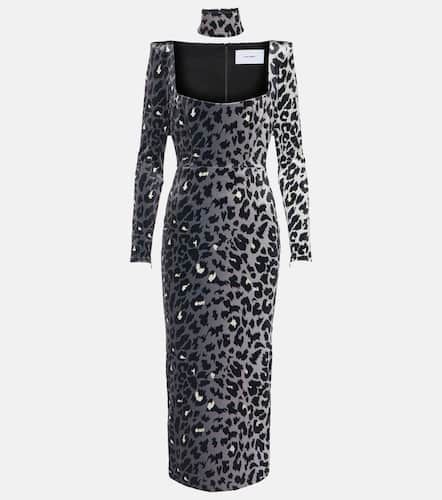 Leopard-print velvet midi dress - Alex Perry - Modalova