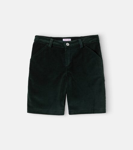 Shorts Lucas de terciopelo de algodón - La Coqueta - Modalova