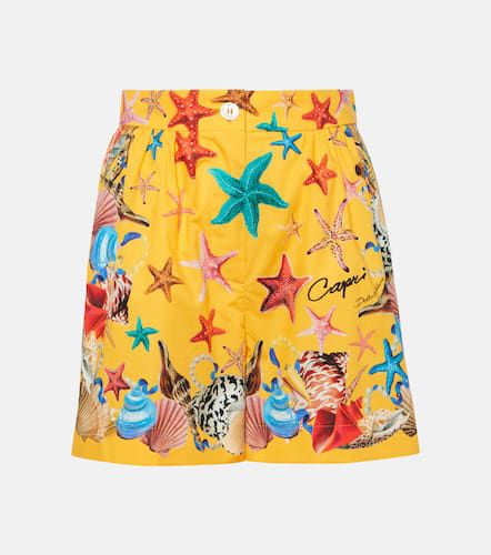 Capri printed high-rise cotton shorts - Dolce&Gabbana - Modalova