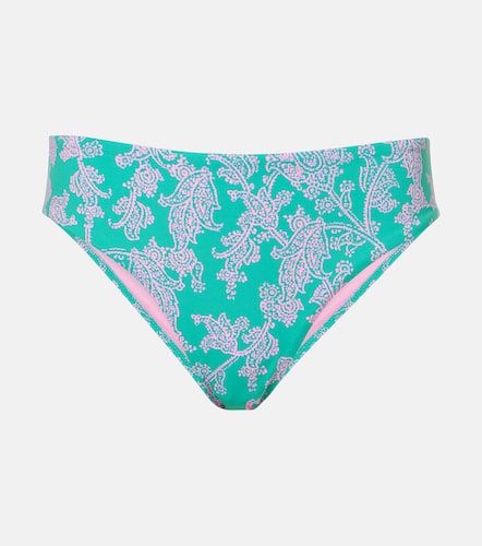 Santa Rosa paisley bikini bottoms - Heidi Klein - Modalova