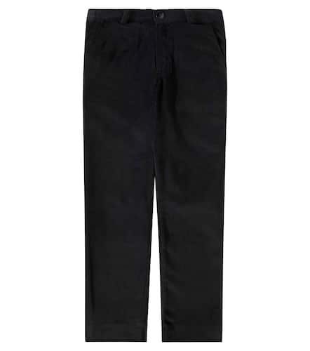 Elio cotton velvet straight pants - La Coqueta - Modalova