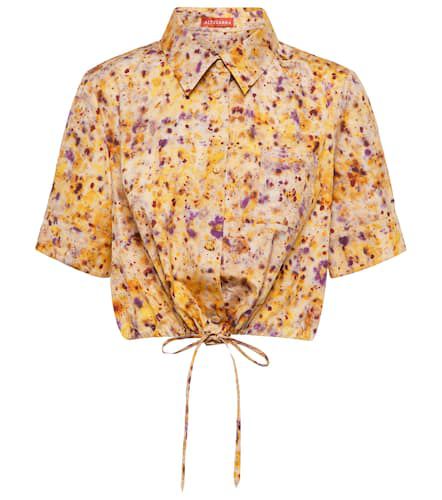 Ben floral cotton-blend crop top - Altuzarra - Modalova