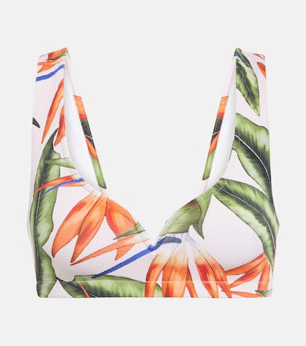 Kamala printed bikini top - Alexandra Miro - Modalova