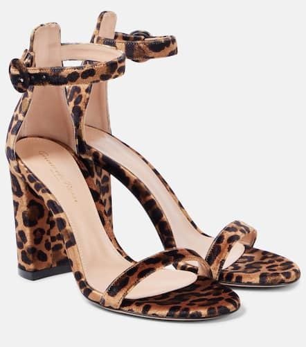 Gaeta 95 leopard-print velvet sandals - Gianvito Rossi - Modalova