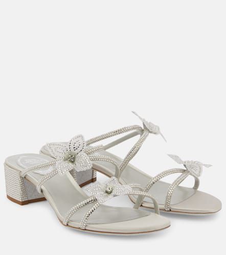 Caterina embellished bow-detail sandals - Rene Caovilla - Modalova