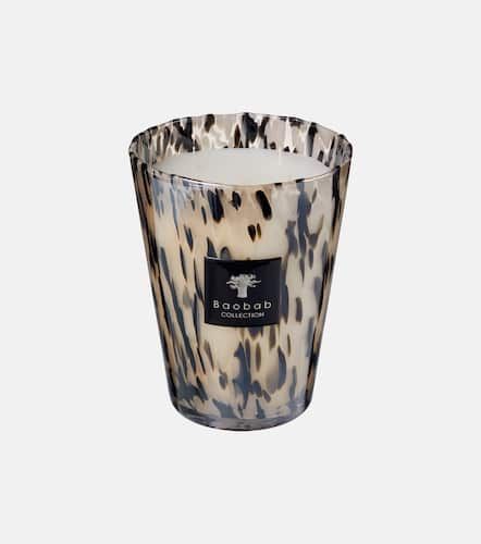 Duftkerze Pearls Black Large - Baobab Collection - Modalova