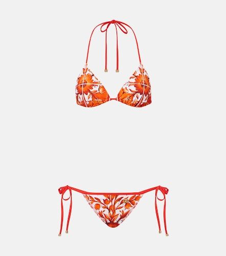 Dolce&Gabbana Majolica bikini - Dolce&Gabbana - Modalova