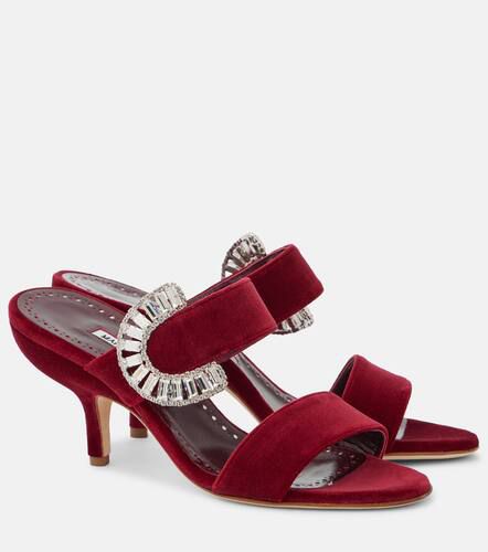 Memonia embellished velvet mules - Manolo Blahnik - Modalova