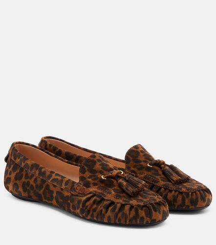 Loafers Théa aus Veloursleder - Gianvito Rossi - Modalova