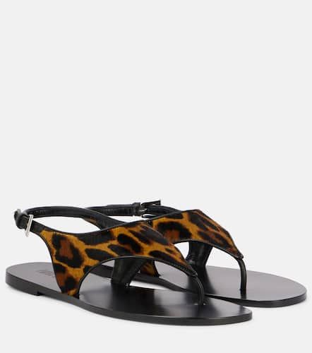 Amalfi leopard-print calf hair thong sandals - Paris Texas - Modalova