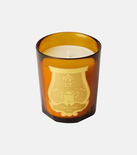 Vela aromática Altair Classique - Trudon - Modalova