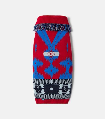 X Poldo Dog Couture - Pullover per cani Icon - Alanui - Modalova