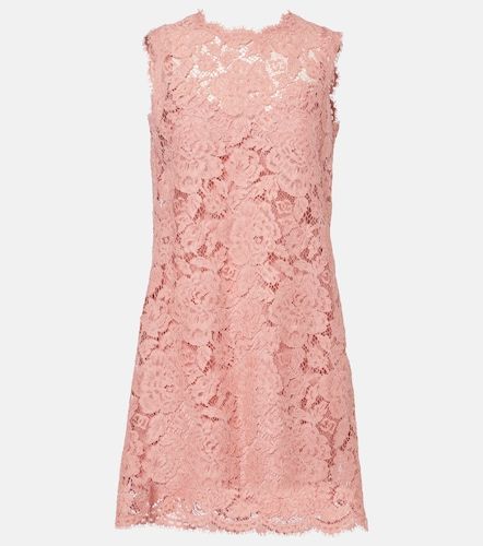 Minikleid DG aus Spitze - Dolce&Gabbana - Modalova