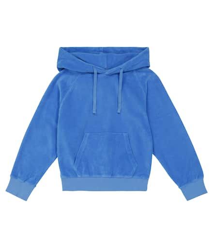 Orlando Barista cotton hoodie - Morley - Modalova