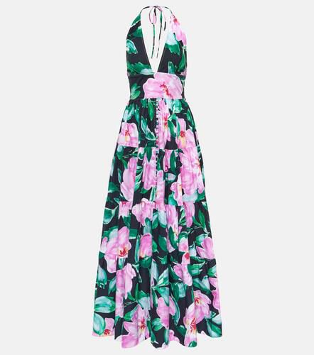 Celeste floral maxi dress - Alexandra Miro - Modalova