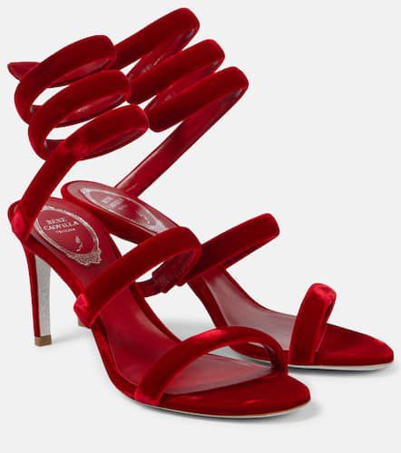 Cleo 80 velvet sandals - Rene Caovilla - Modalova